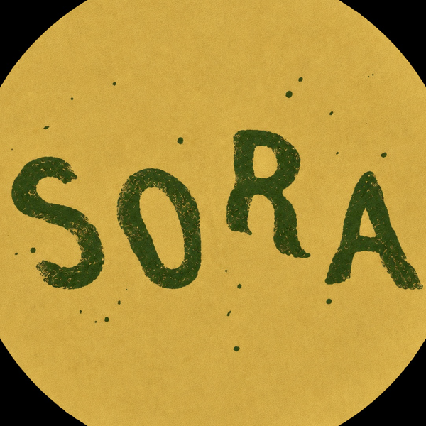 sora🦍ྀི