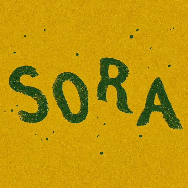 sora🦍ྀི