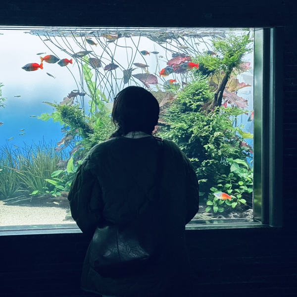 七瀬日向