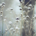 Tears in heaven