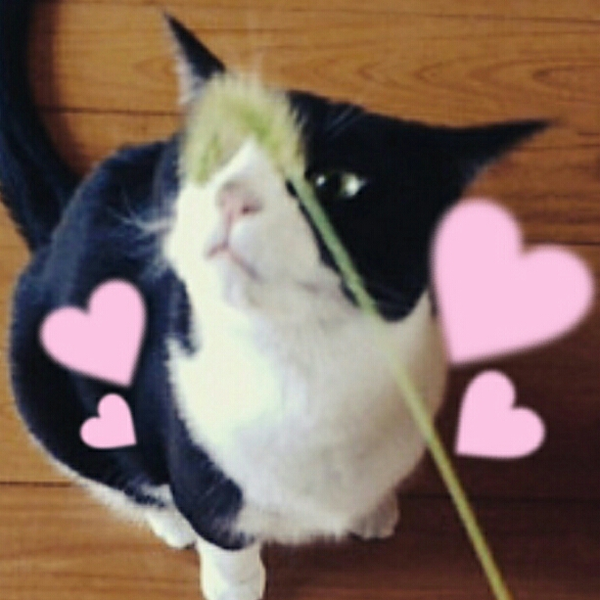 asa