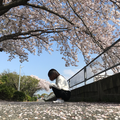 【朝顔】声劇 「朝に咲く恋」【夏休み】