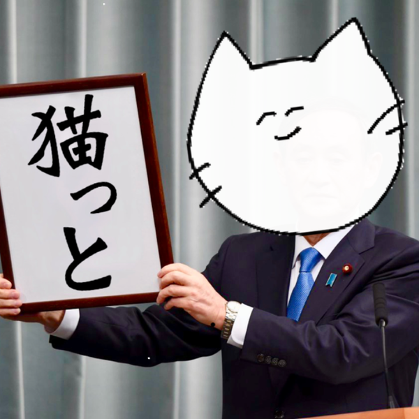 猫っと♂