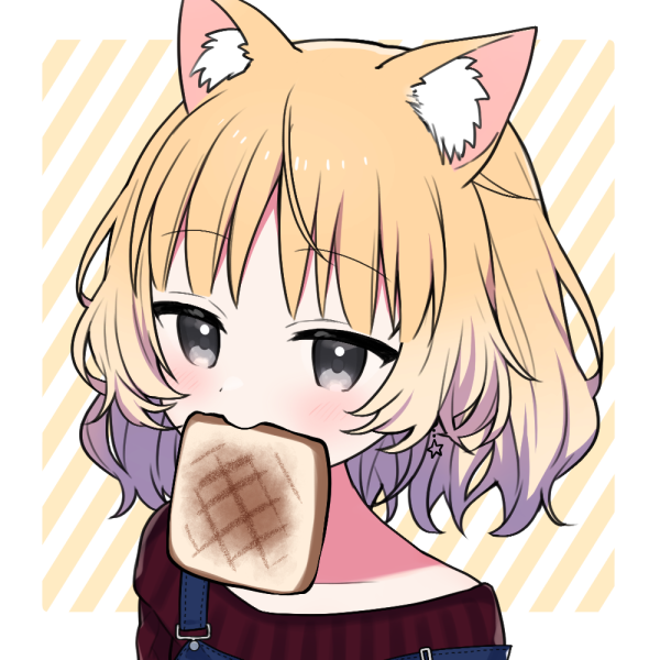 きいろねこ