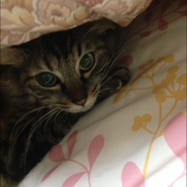 あおぞら。