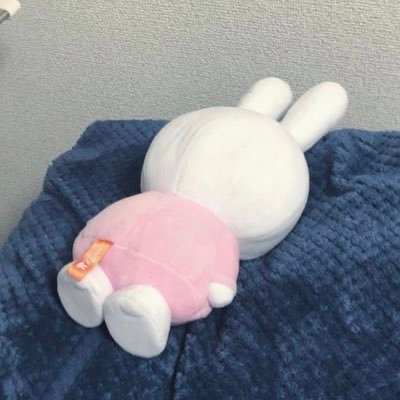さなえ 。