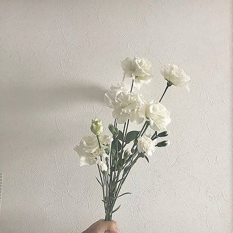 さやか