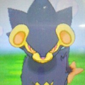 天ノ弱 ~ラスサビ~ コラボ