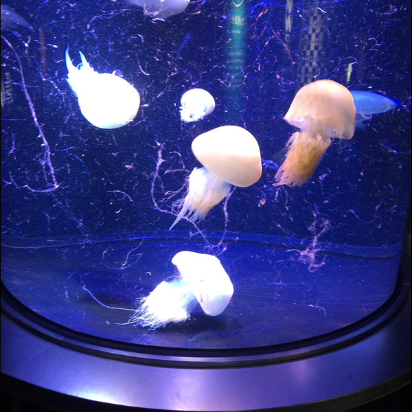 かえでんଳ⌁͛⁣ଳ⚡︎