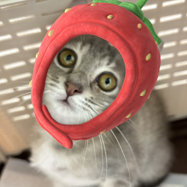 らりる。