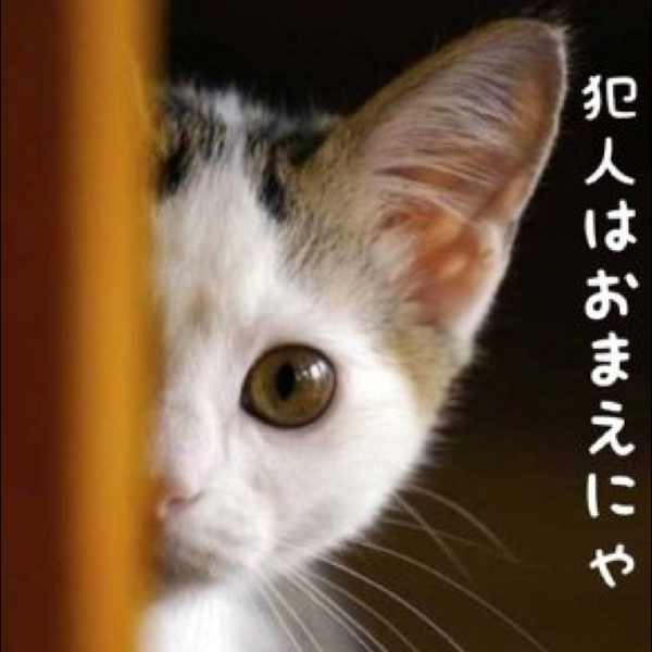 Atsushi.O