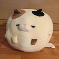 ニア