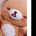 一心不乱 コラボ用
