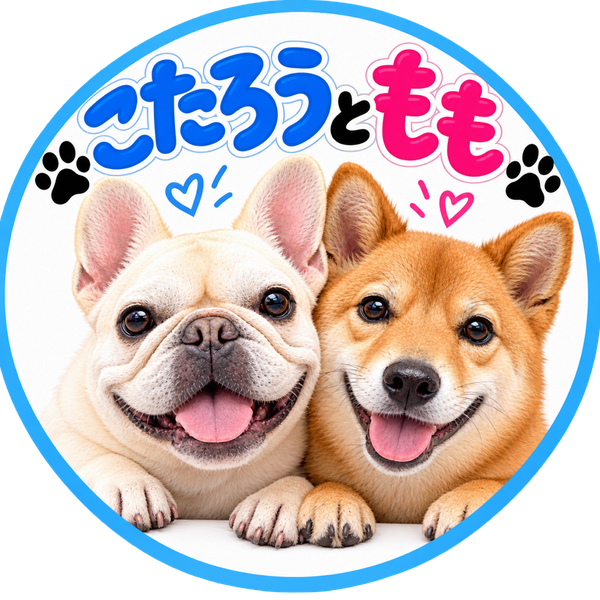 ハル💚🐖🐕·͜·ᰔᩚ