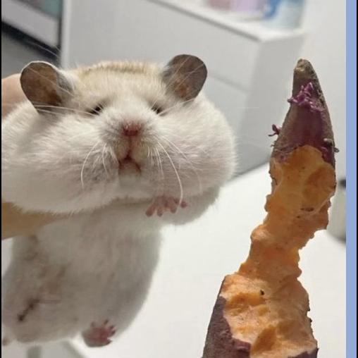 おやすみ