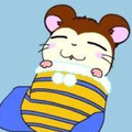 蝶々結び (ハモリ有り)
