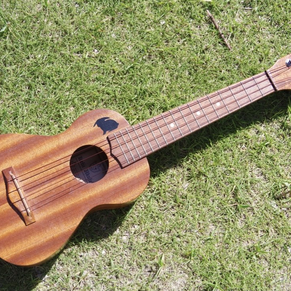 kaako
