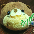 クリスマスソング コラボ済 【上級者向け】