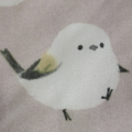 シルビア