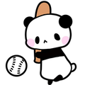 ドライフラワー コラボ済