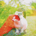 変わらないもの
