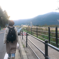 夜に駆ける コラボ用
