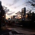 ライラック