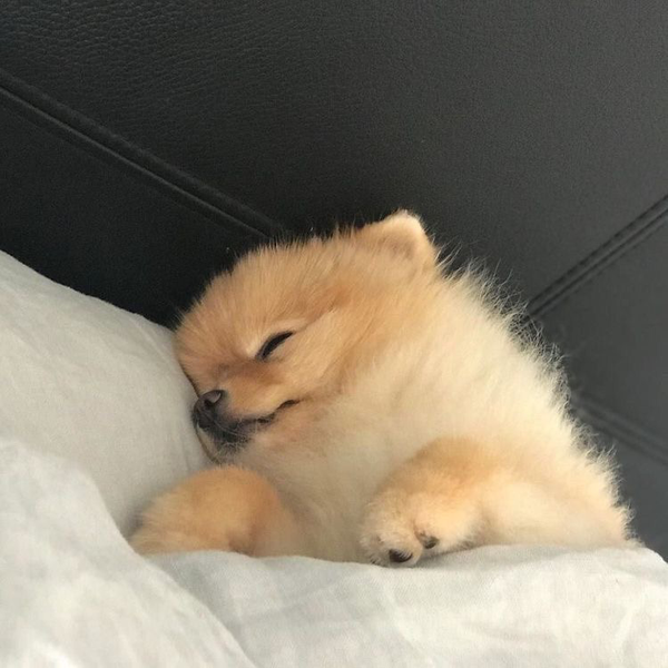 麦