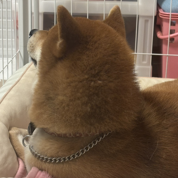 あ