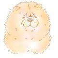 💝とびら開けて コラボ用(ハンス募集中)💝