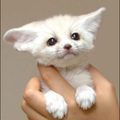 ドラマみたいだ
