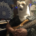 ambient loop 20201014