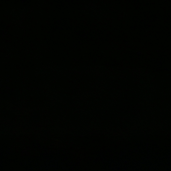 翔真