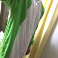 30問30答 自己紹介 声面接