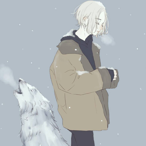 iv