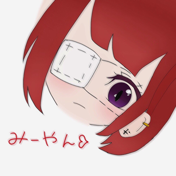 ☪︎雅緋☪︎ 【宮白騎隊】
