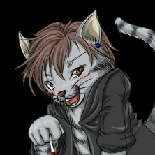 灰猫