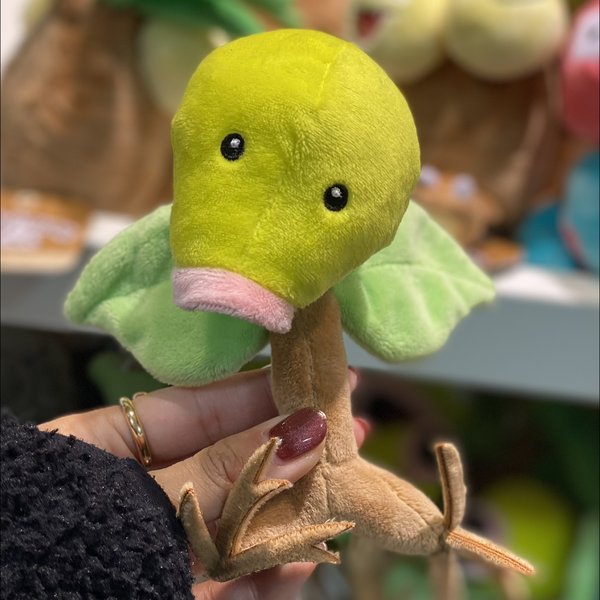 はせがわぁ