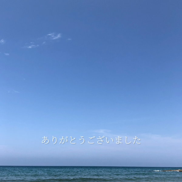 える🌼
