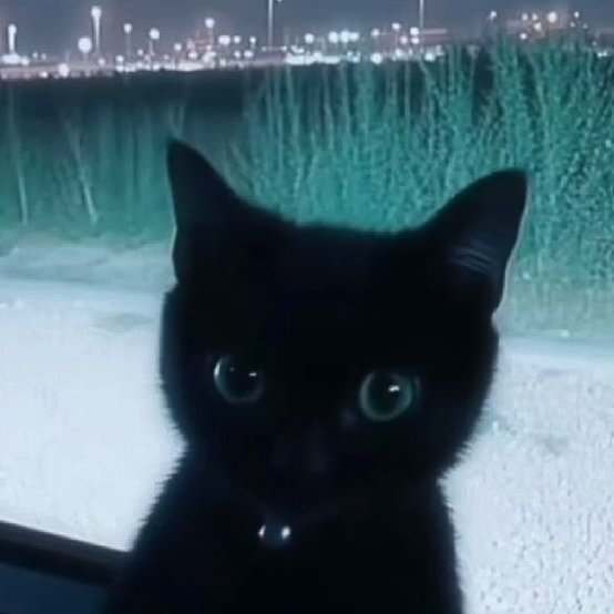 ︎︎雪