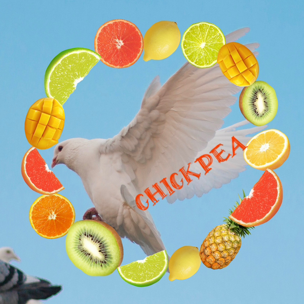 ぴい-CHICKPEA