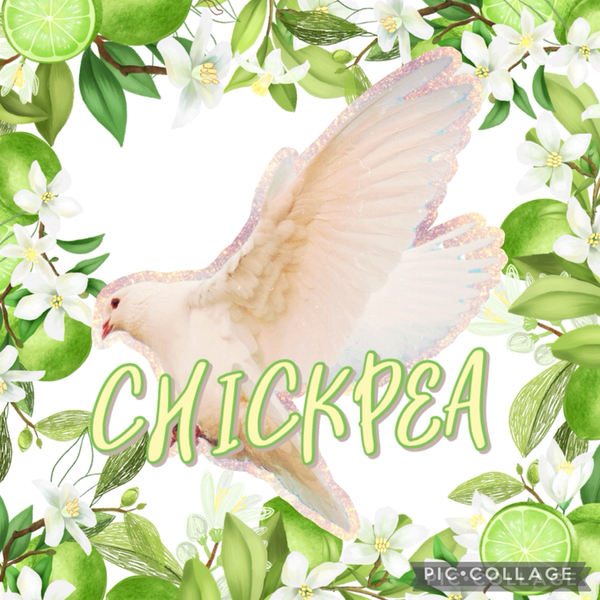 ぴい-CHICKPEA