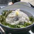 エイリアンズ