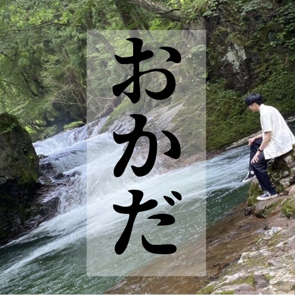 おかだくん