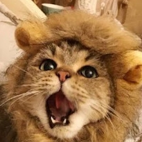 GA HI