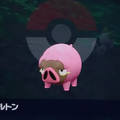僕が一番欲しかったもの