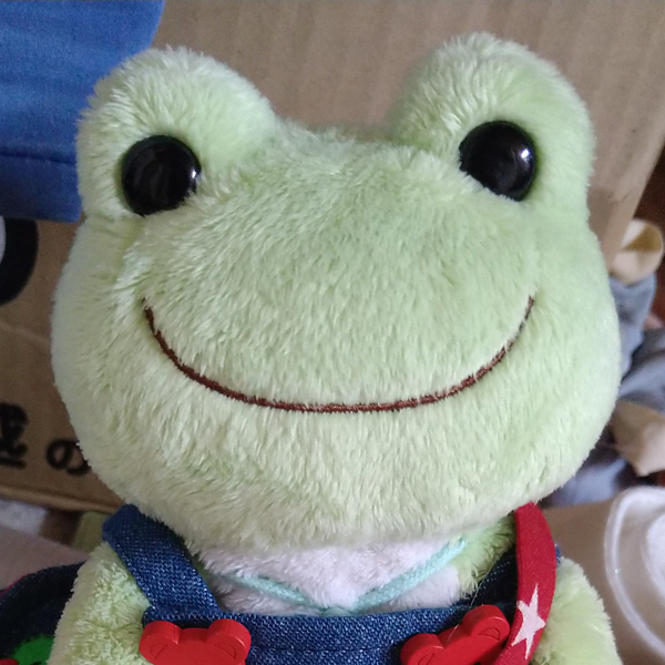 こめ:LiSAッ子