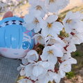 ぼうやの夢よ