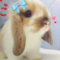 からくりピエロ コラボさせて頂きました。