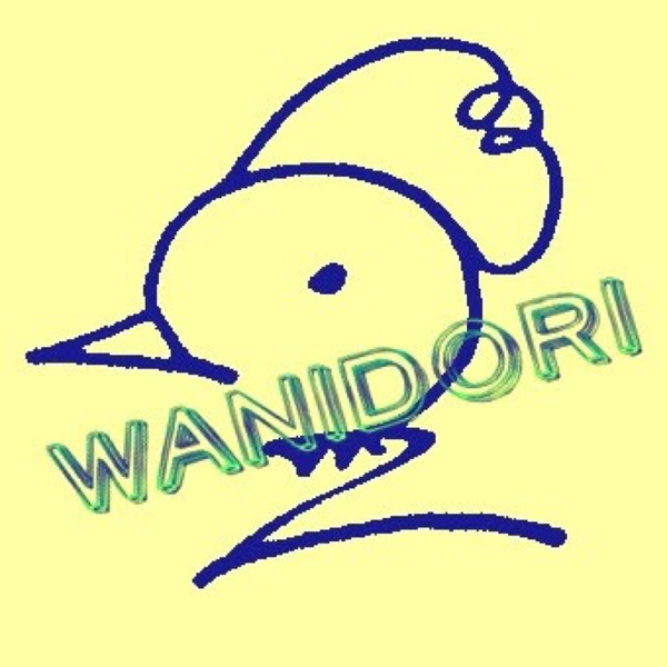 ワニ鷄